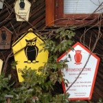 Heidesee, Haus des Waldes